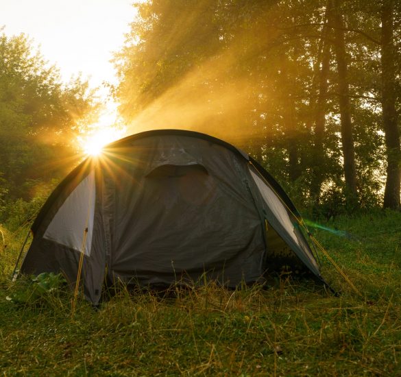 Tourist tents on riverbank at sunrise